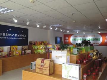 古井贡酒亮相2025世界制造业大会以“绿色智造”开启秋酿新篇章