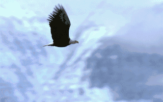 国网白银供电公司：全力保障“双节”供电 精心守护万家灯火